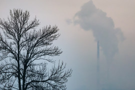 Thumbnail for 6959859