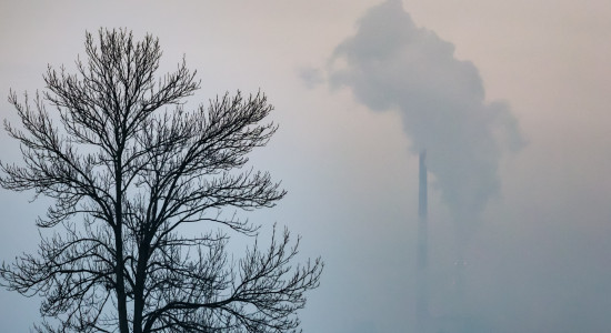 Thumbnail for 6959859