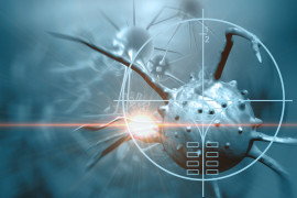 Thumbnail for 6960042