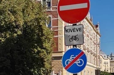 Thumbnail for 6960132