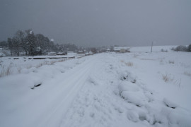 Thumbnail for 6960224