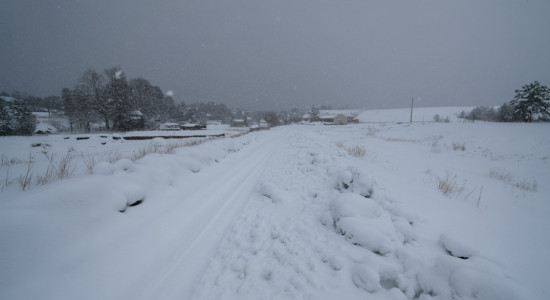 Thumbnail for 6960224