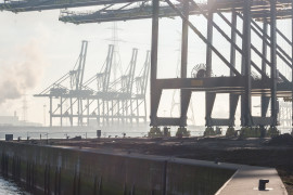 Thumbnail for 6960239