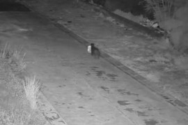 Thumbnail for 6960247