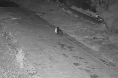 Thumbnail for 6960247