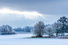 Thumbnail for 6960379