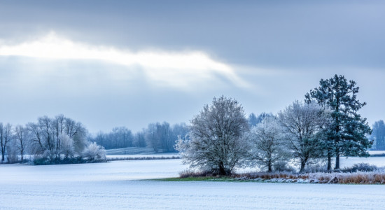 Thumbnail for 6960379