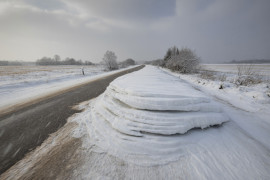 Thumbnail for 6960403