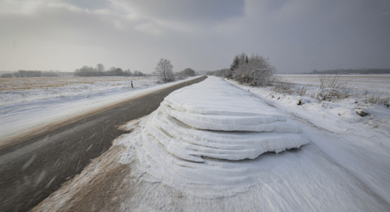 Thumbnail for 6960403