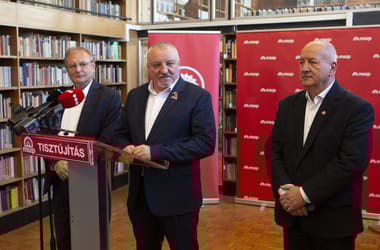 Thumbnail for 6960413