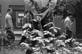 Thumbnail for 6960473