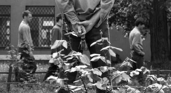 Thumbnail for 6960473