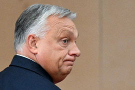 Thumbnail for 6960878