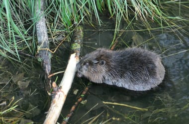 Thumbnail for 6961034