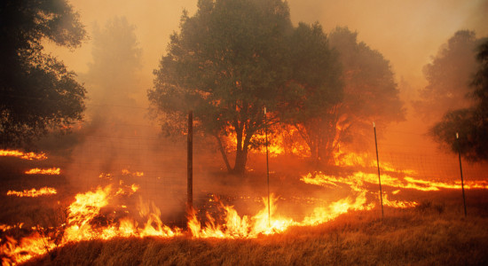 Thumbnail for 6961286