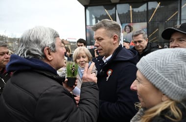 Thumbnail for 6961464