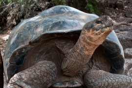 Thumbnail for 6961587