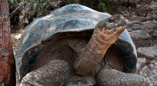 Thumbnail for 6961587