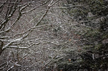 Thumbnail for 6961750