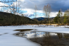 Thumbnail for 6961998