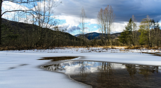 Thumbnail for 6961998