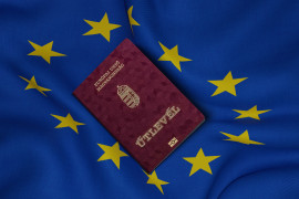 Thumbnail for 6962091