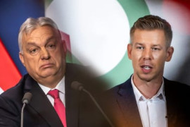 Thumbnail for 6962139