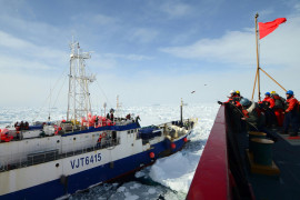 Thumbnail for 6962338