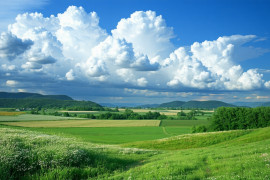 Thumbnail for 6962389