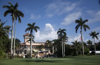 Thumbnail for 6962482