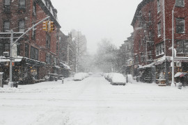 Thumbnail for 6962808