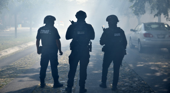 Thumbnail for 6963113