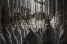 Thumbnail for 6963187