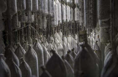 Thumbnail for 6963187