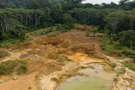 Thumbnail for 6963206