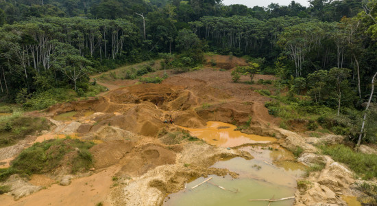 Thumbnail for 6963206