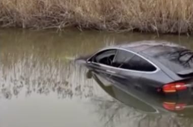 Thumbnail for 6963312