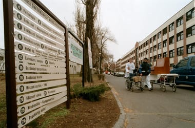 Thumbnail for 6964016