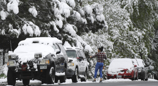 Thumbnail for 6964157