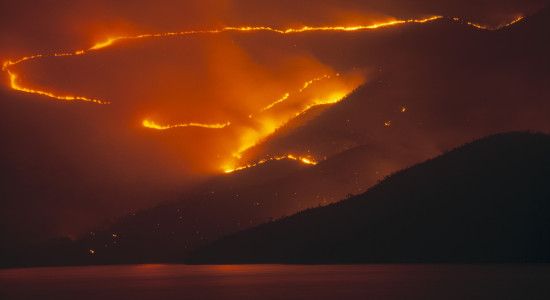 Thumbnail for 6964762