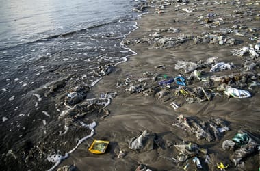 Thumbnail for 6965046