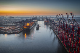 Thumbnail for 6965117