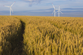 Thumbnail for 6965229