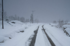 Thumbnail for 6965259