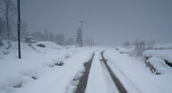 Thumbnail for 6965259