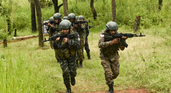 Thumbnail for 6965495