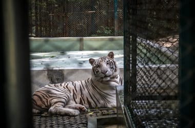 Thumbnail for 6965513