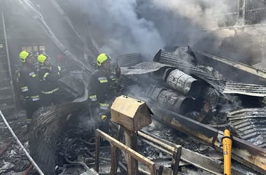 Thumbnail for 6965616