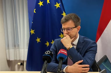 Thumbnail for 6966112