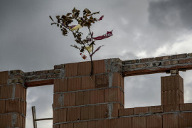 Thumbnail for 6966429